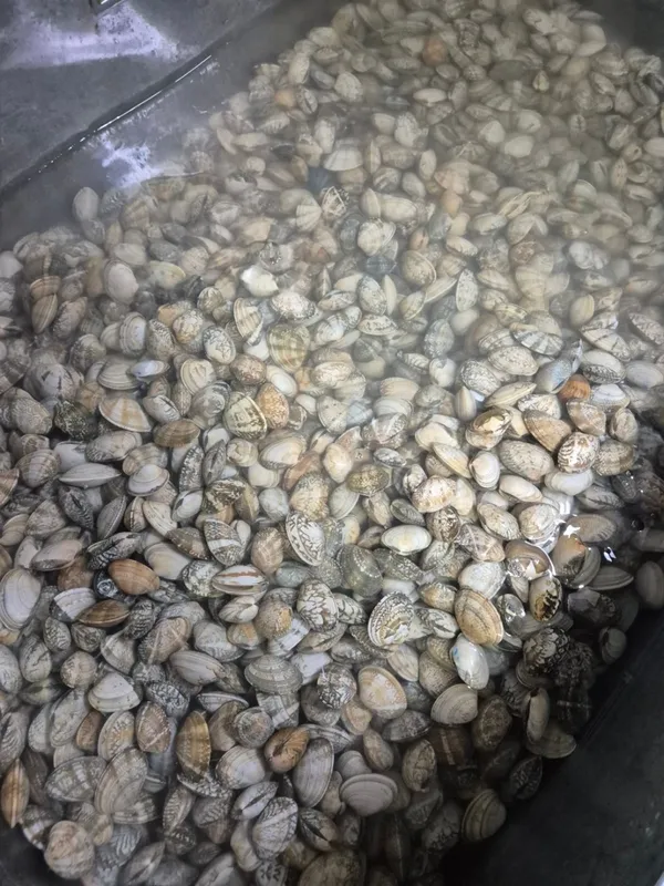 대부도바지락칼국수 본점 사진 4