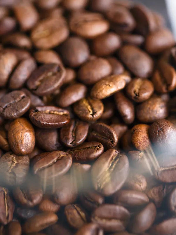 SOT COFFEE ROASTER - Osaka Tenmabashi 사진 5