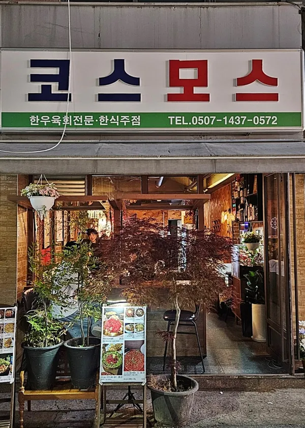 코스모스