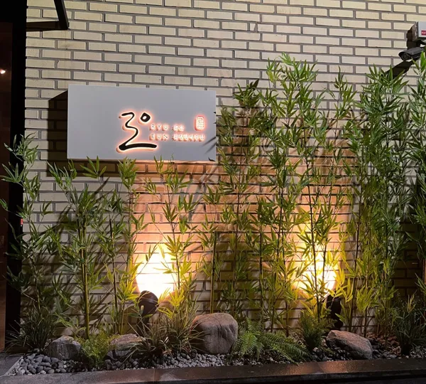 류은