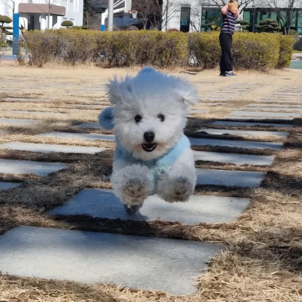 주주타임 사진 2