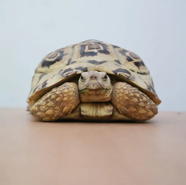 주주타임 사진 3