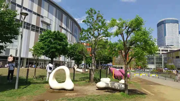 어번 독 라라포트 토요스 사진 3