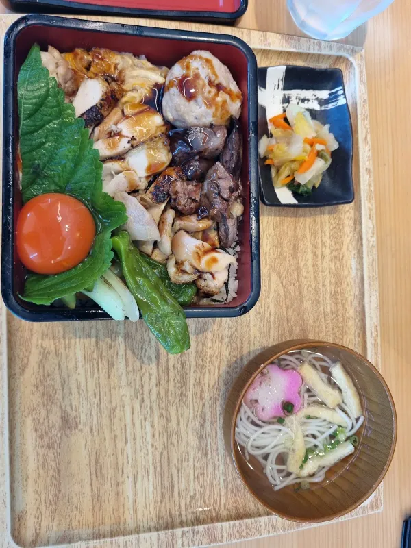 토리야 코우 네오 사진 5