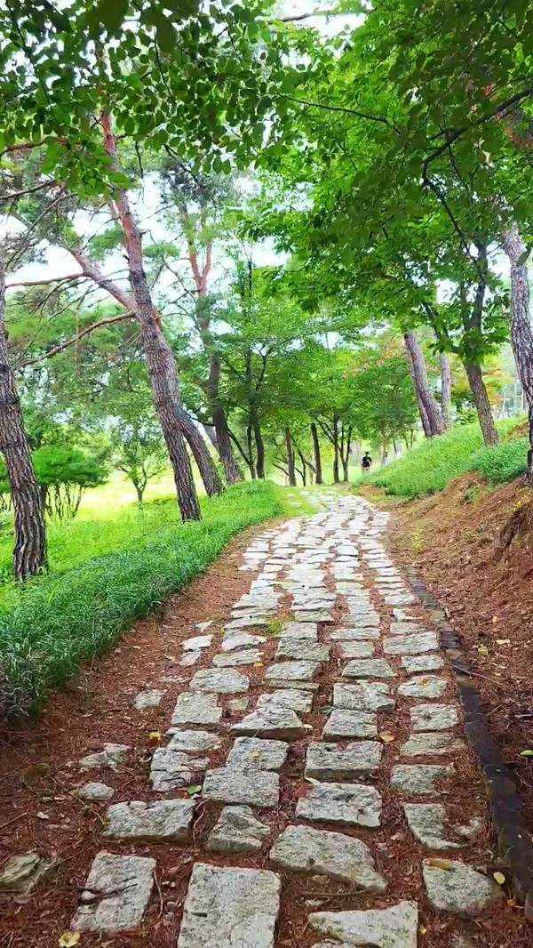 합천옥전고분 사진 5