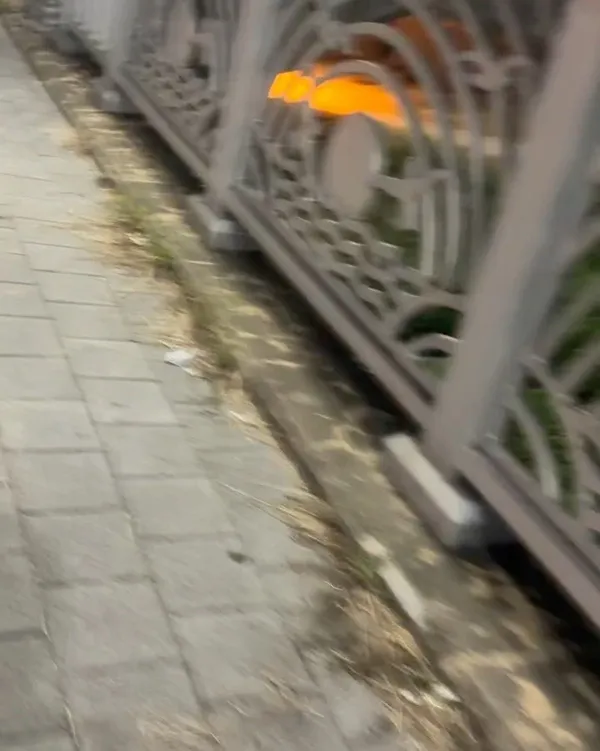 비건스토리여누 사진 5