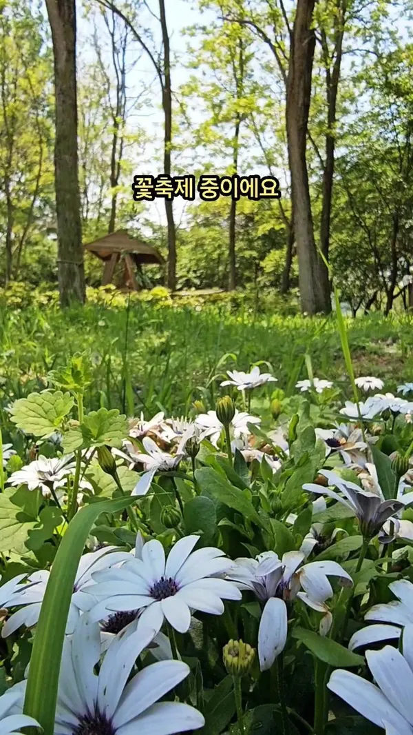 남도꽃정원