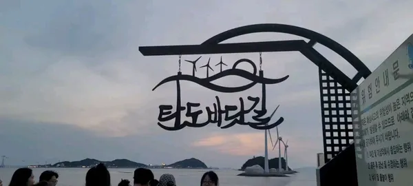 탄도항