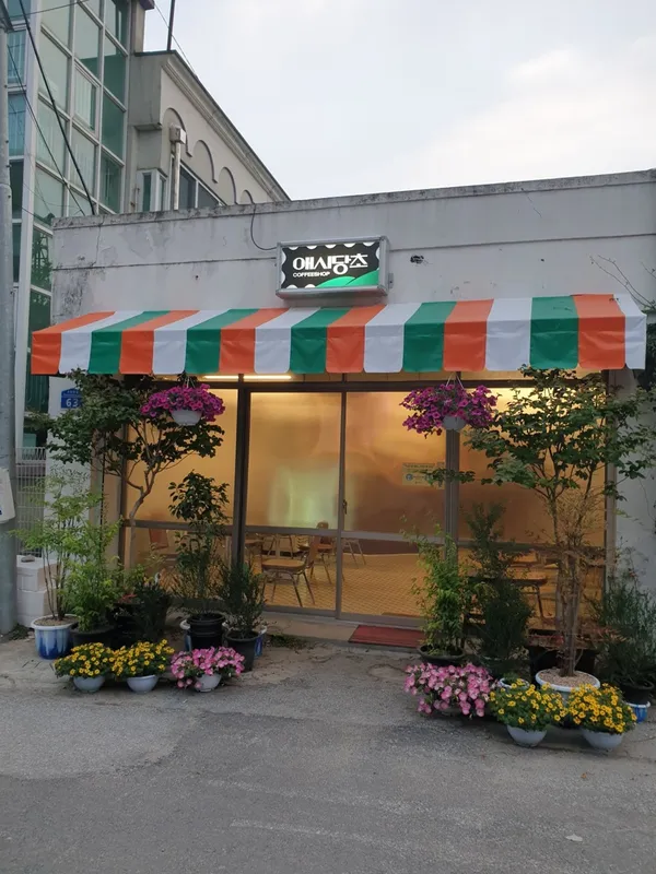 애시당초 사진 5