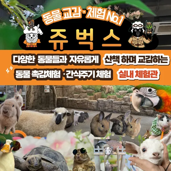 쥬벅스 동물체험 사진 3
