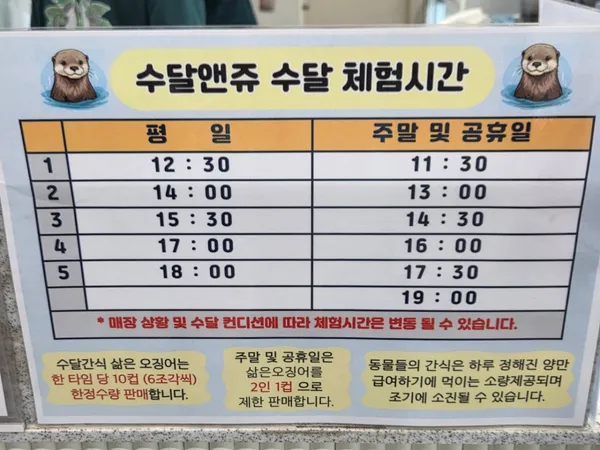수달앤쥬 사진 3