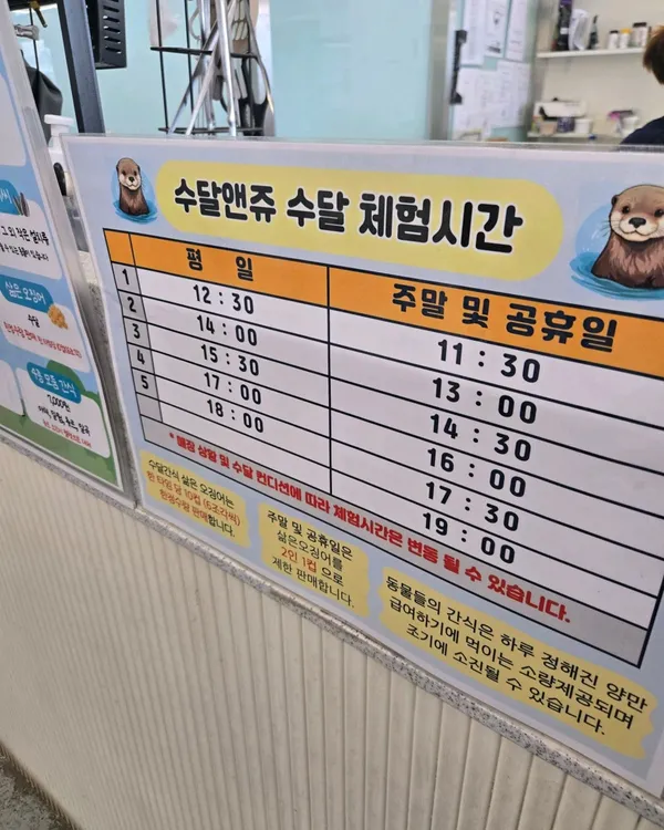 수달앤쥬 사진 5