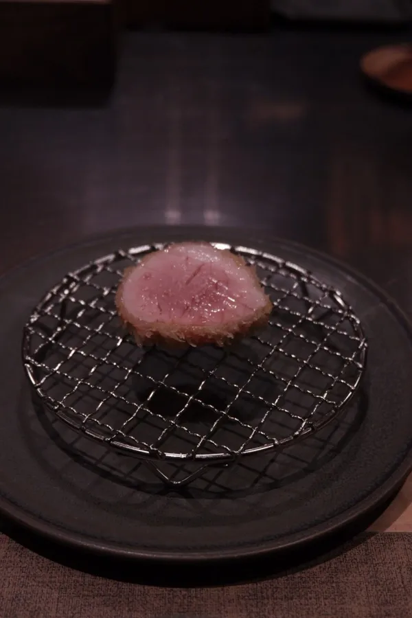 보배진 사진 2