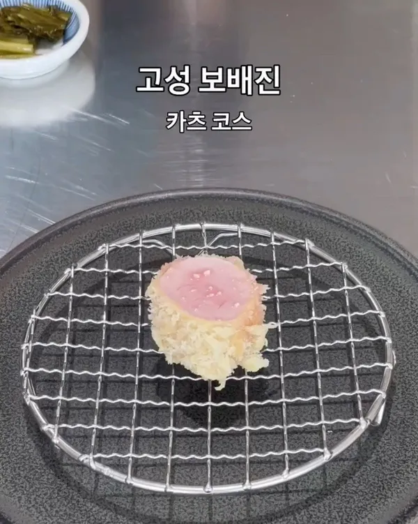 보배진 사진 5