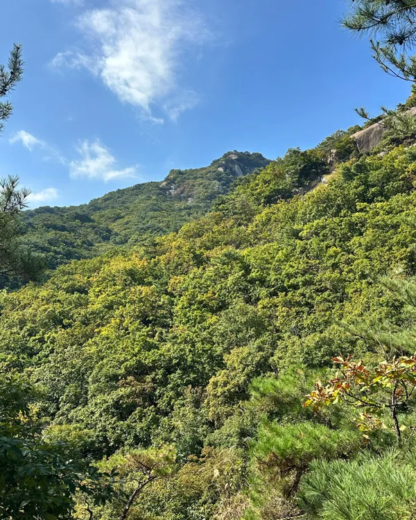 Suraksan, photo 4