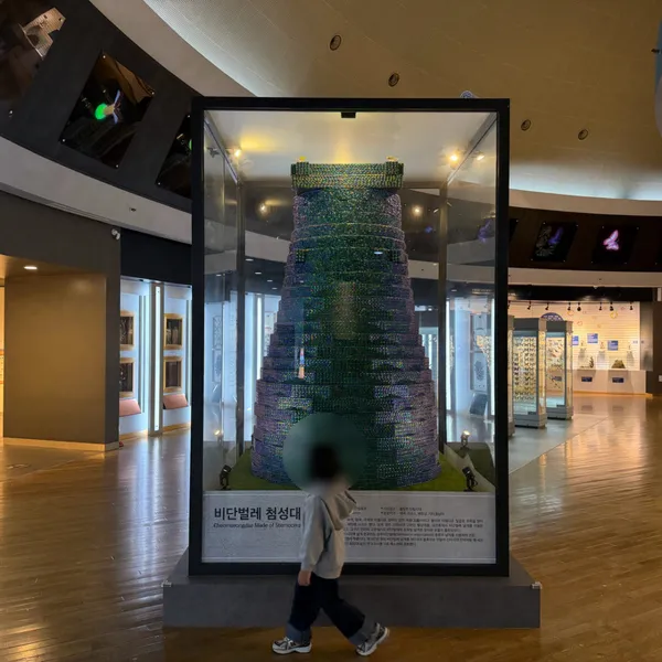 무주곤충박물관 사진 5