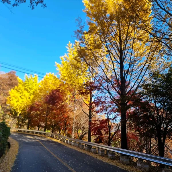 적상산 사진 4