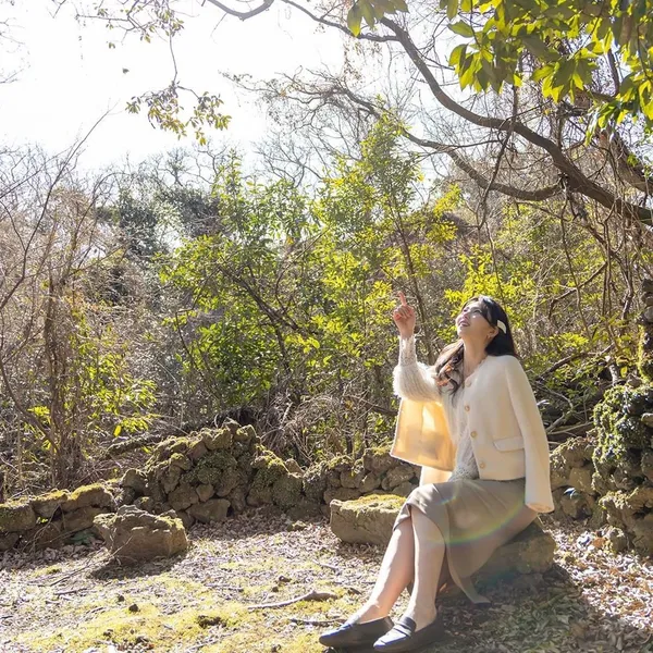 세계자동차&피아노 박물관 사진 2
