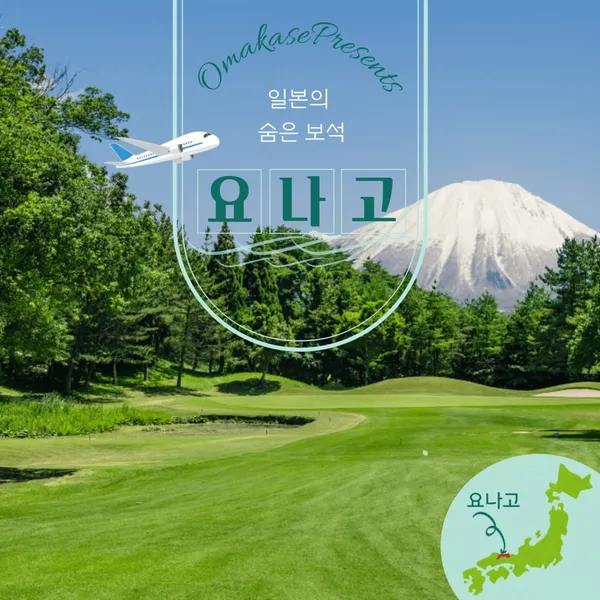 더케이인터내셔날 사진 3