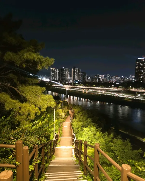 응봉산 사진 2