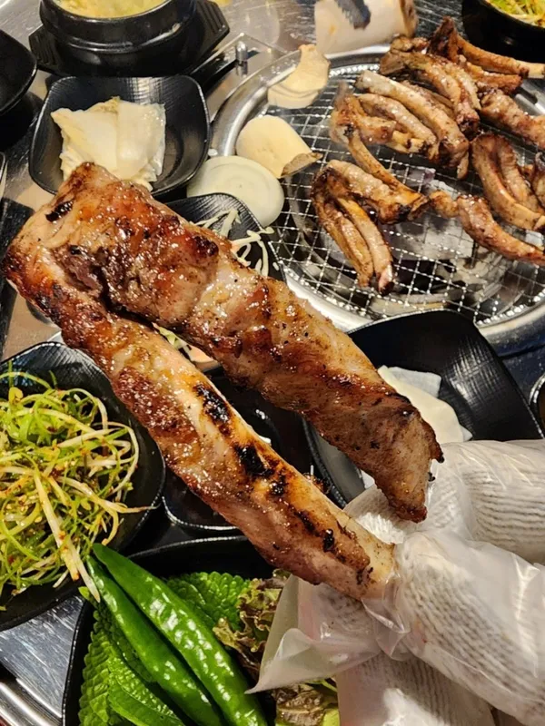 강도야지