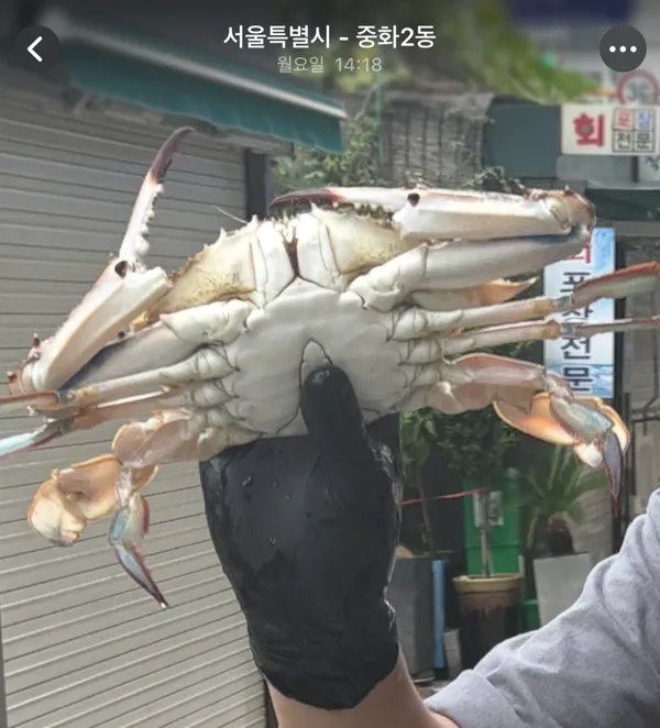 용호횟집 사진 4