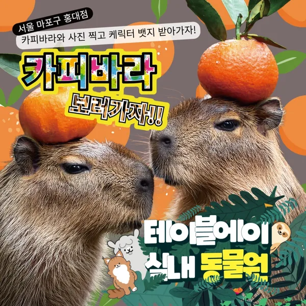 테이블에이