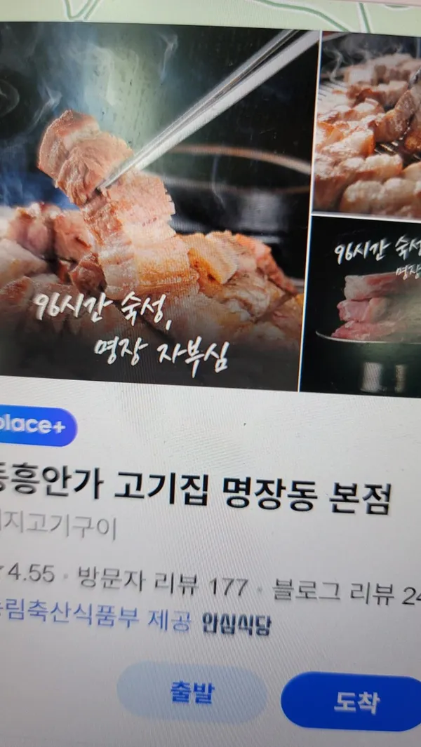 영시흑돼지 사진 3
