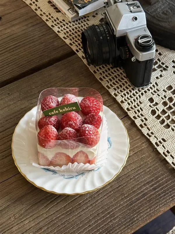 코히루 사진 5