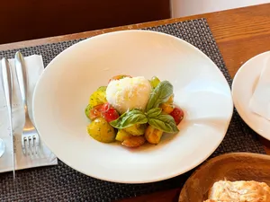 체나콜로 아트포레