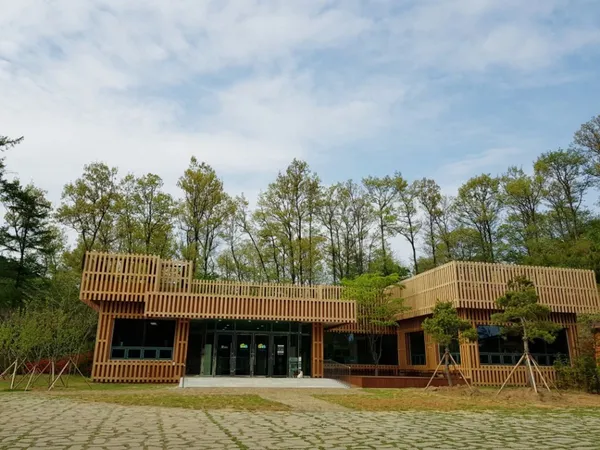 National Jangseong Healing Forest, photo 5