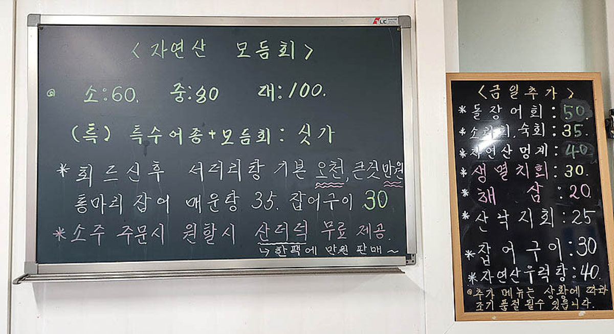 바다회향기 사진 5