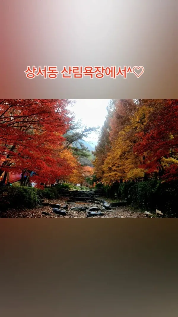 장동산림욕장 사진 4