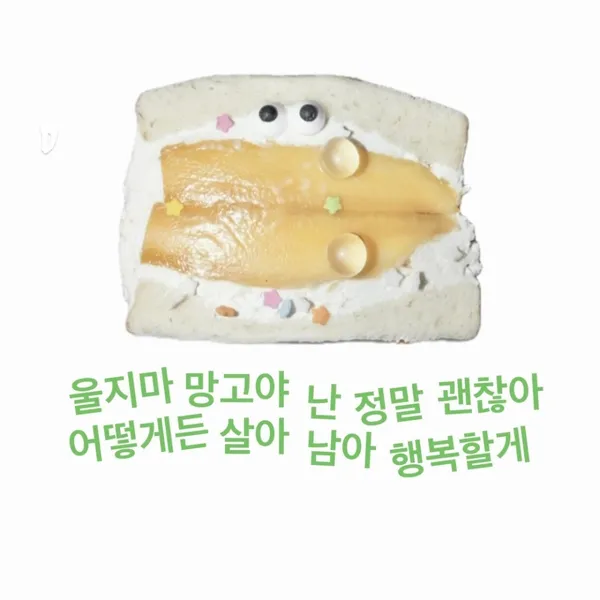 산호초 사진 3