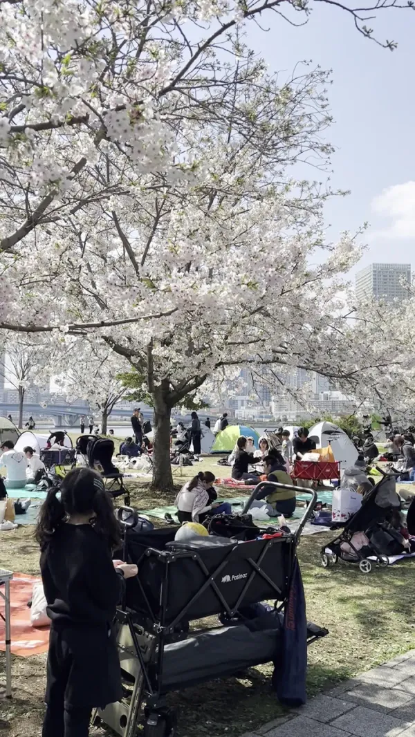 Toyosu Park, photo 3
