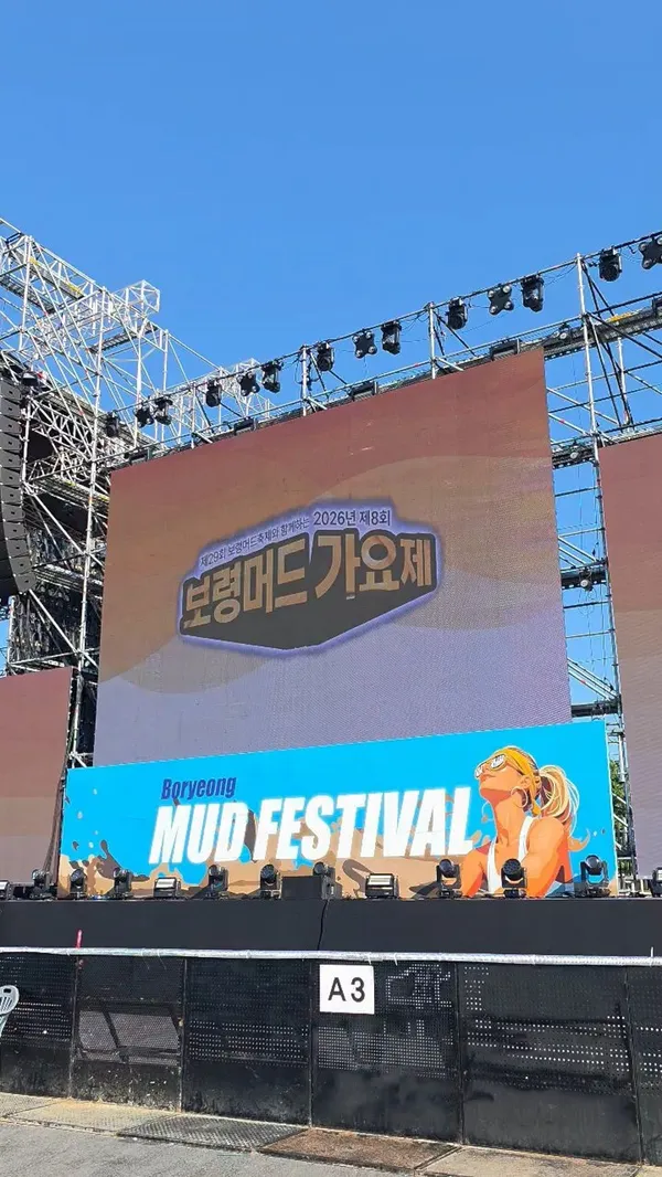 Boryeong Mud Festival, photo 5