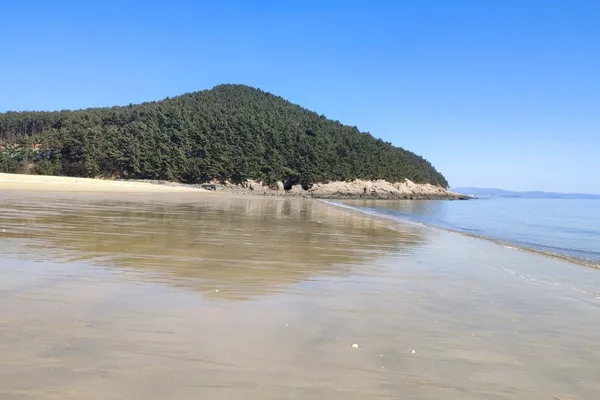 오봉산해수욕장 사진 3