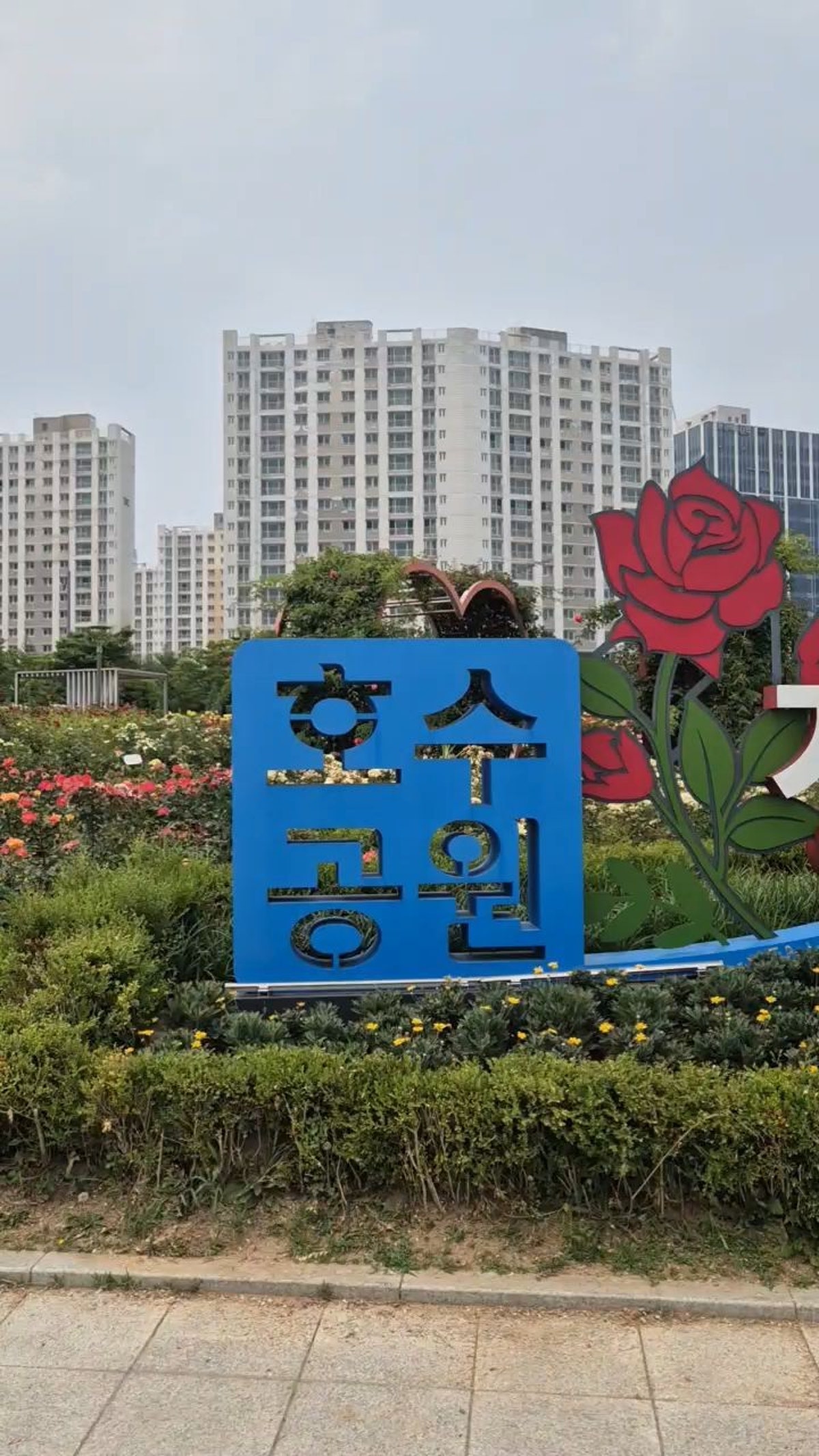 한강신도시 호수공원 사진 5
