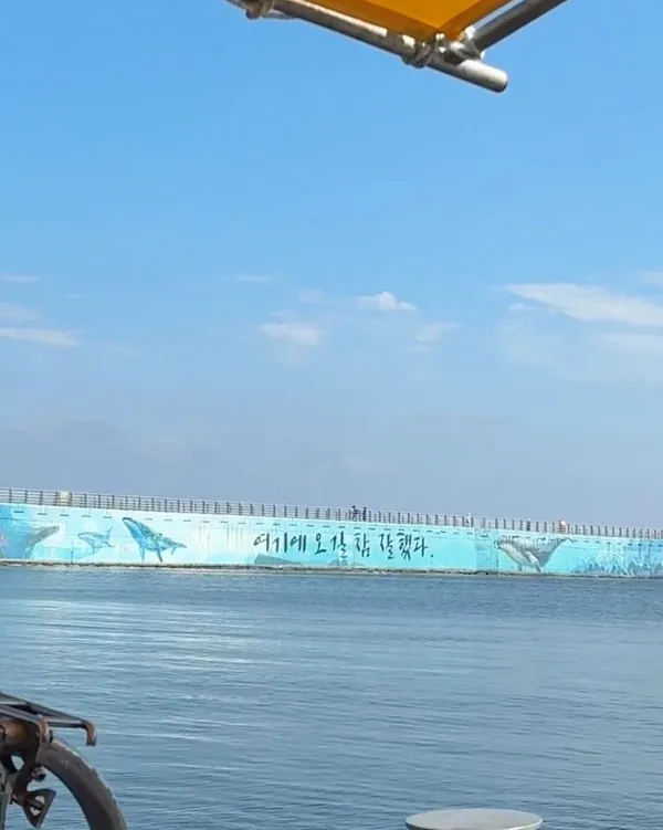 Sokcho Donggwang Hobae Fishing Experience