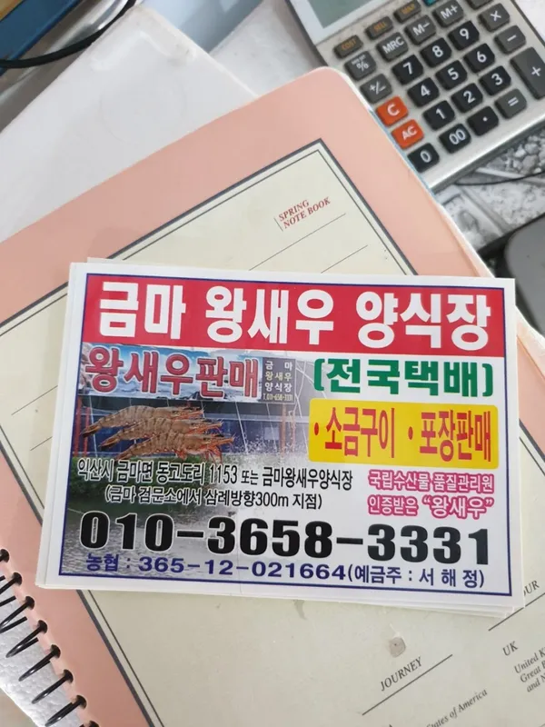금마왕새우 사진 2