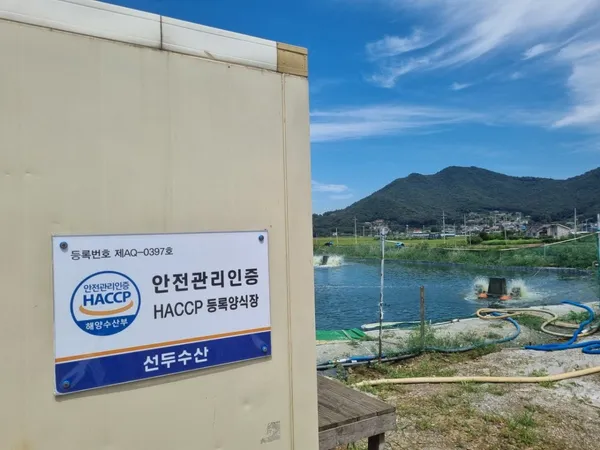 선두수산 새우양식장 사진 2
