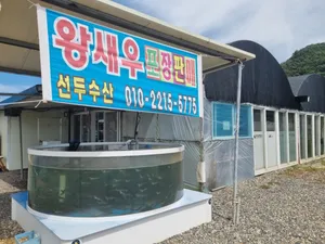 Seondu Susan Saeuyangsikjang