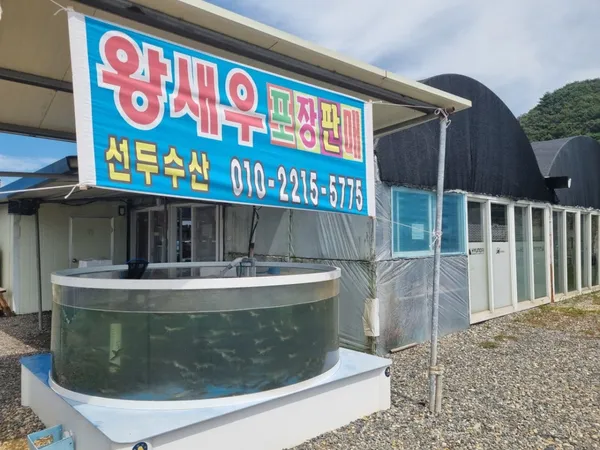 선두수산 새우양식장 사진 3