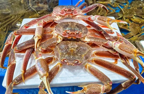 대명수산 수원농수산물도매시장점 사진 2