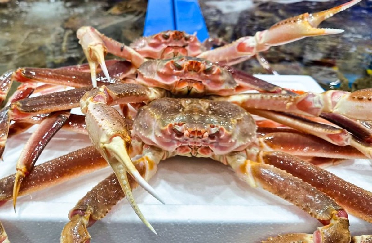 대명수산 수원농수산물도매시장점 사진 3