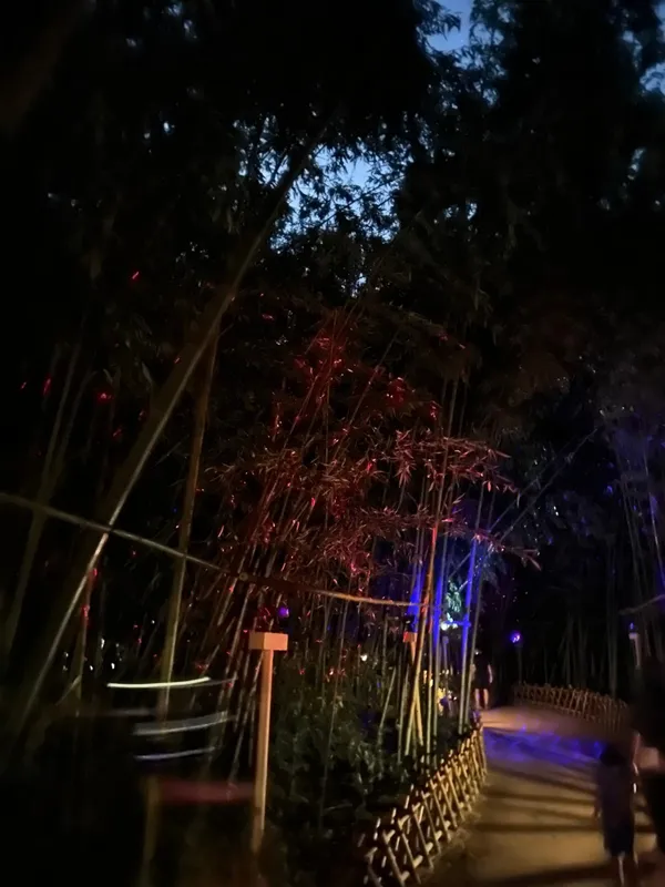 태화강 국가정원은하수정원 사진 2