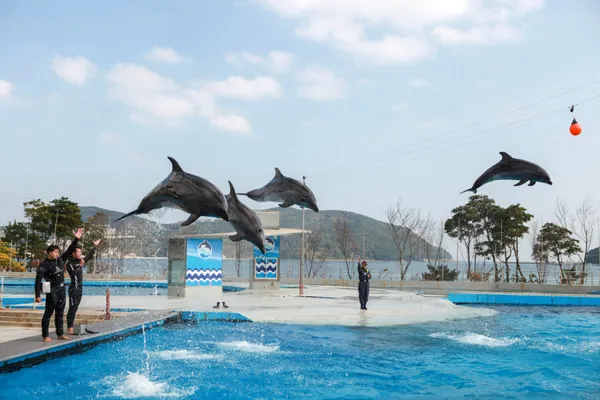 거제씨월드 사진 3