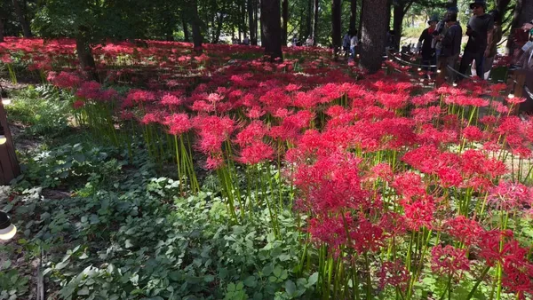 한경헌 사진 3