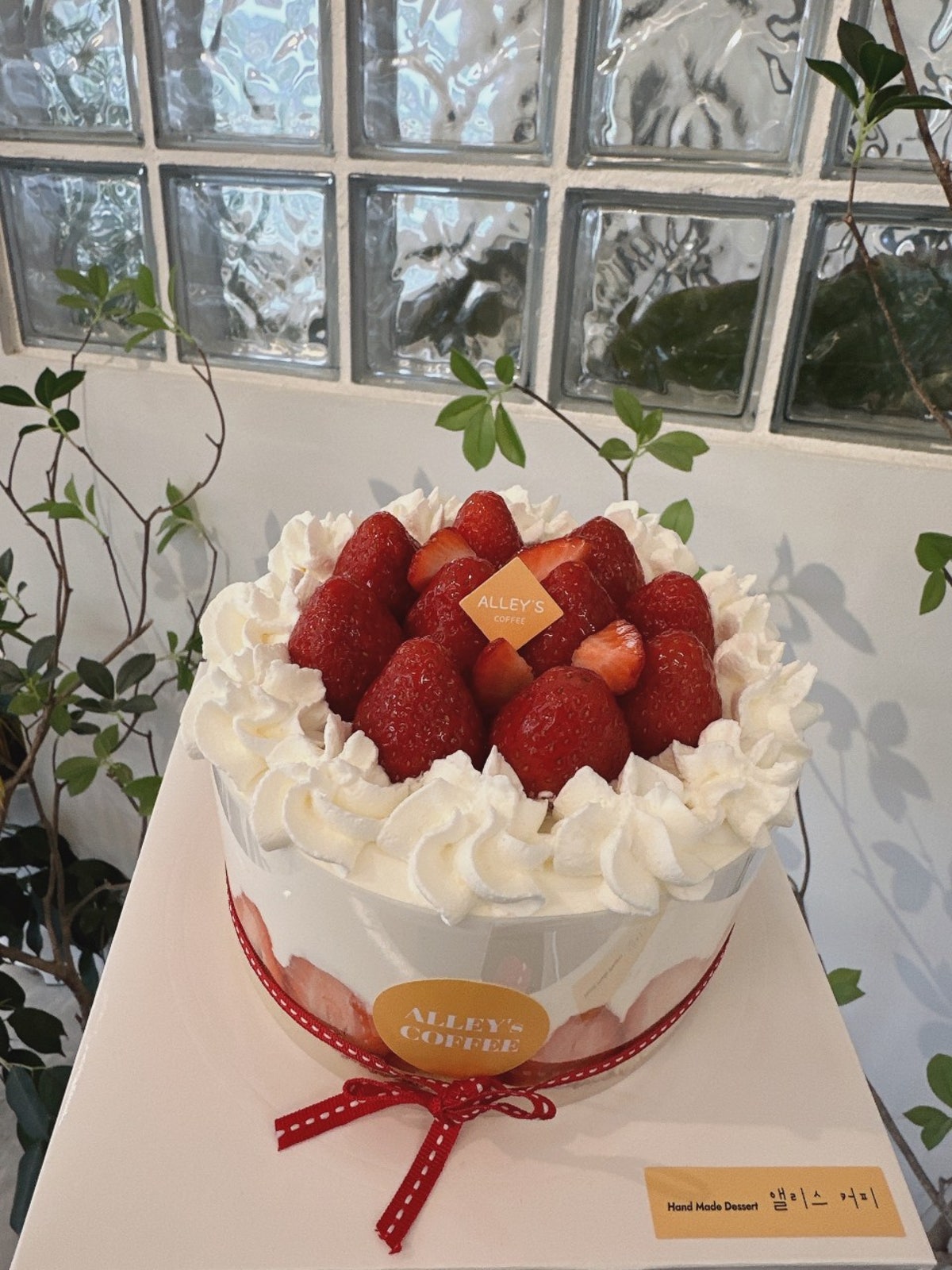 앨리스 커피 사진 5