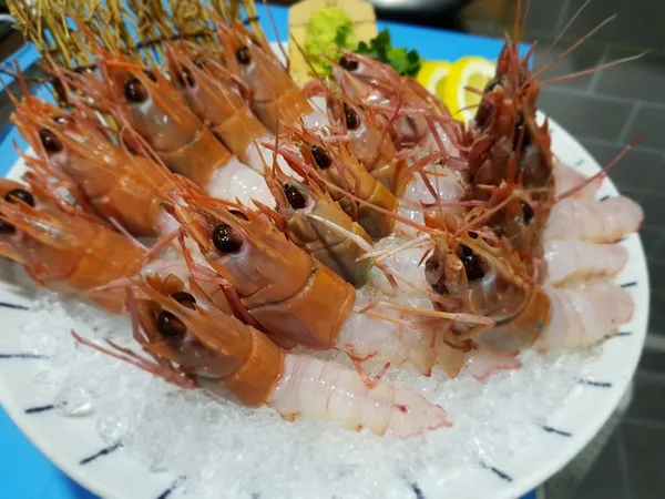 오젠 사진 2